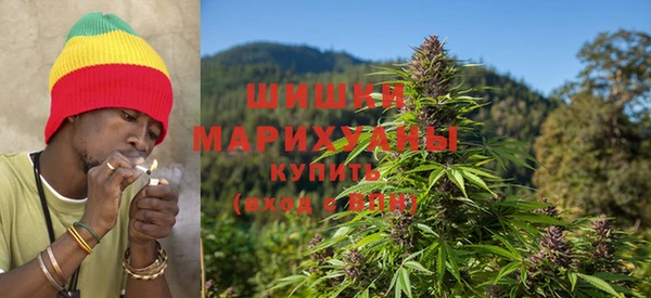 индика Нея